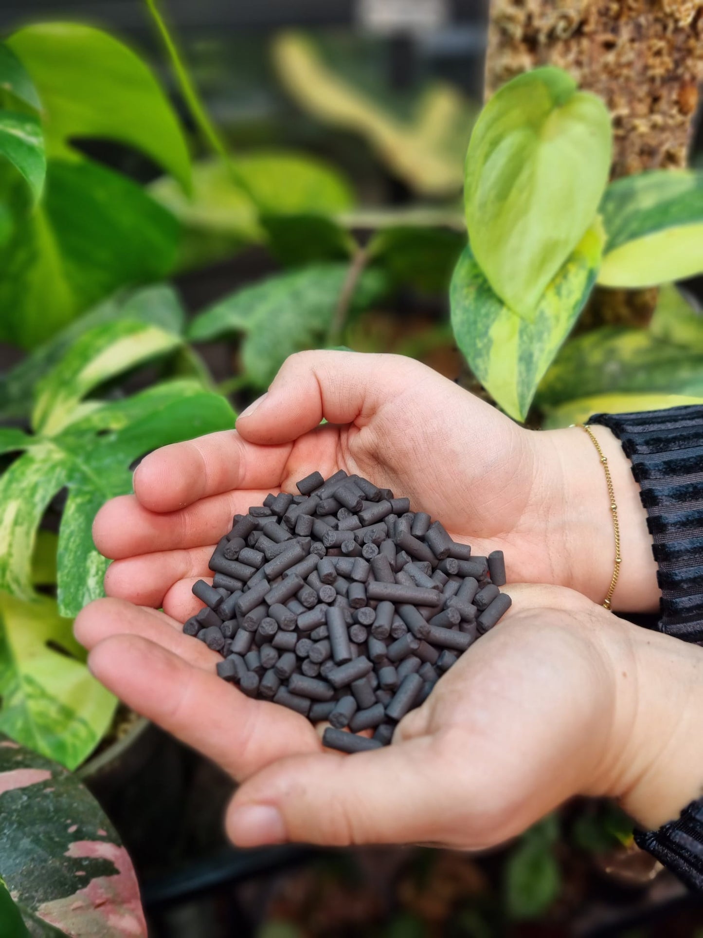 Activated Carbon Pellets