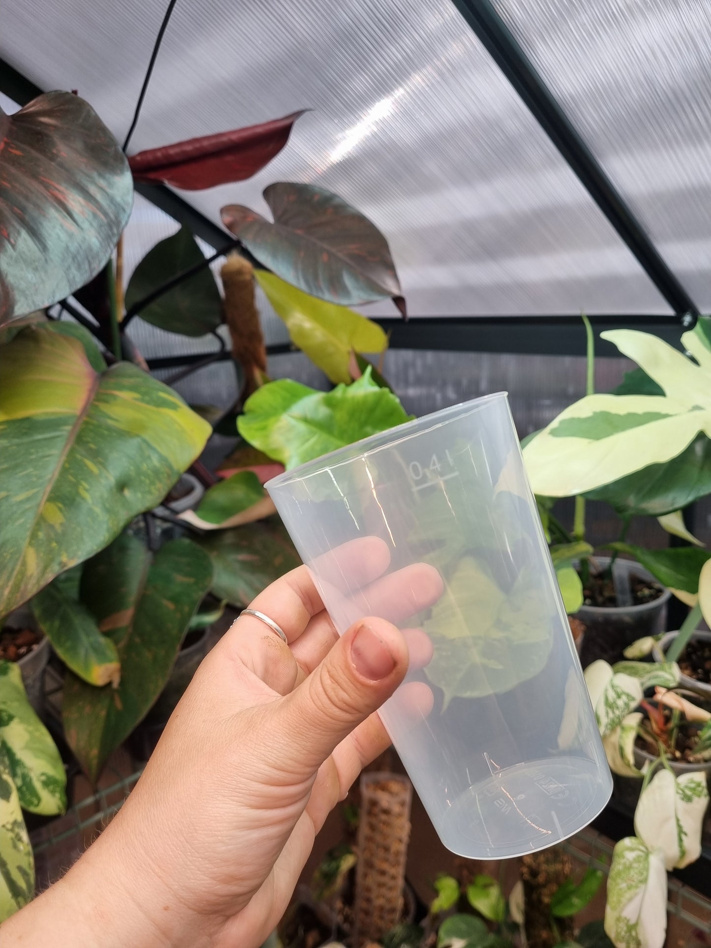 Propagation Cup 400ML x5
