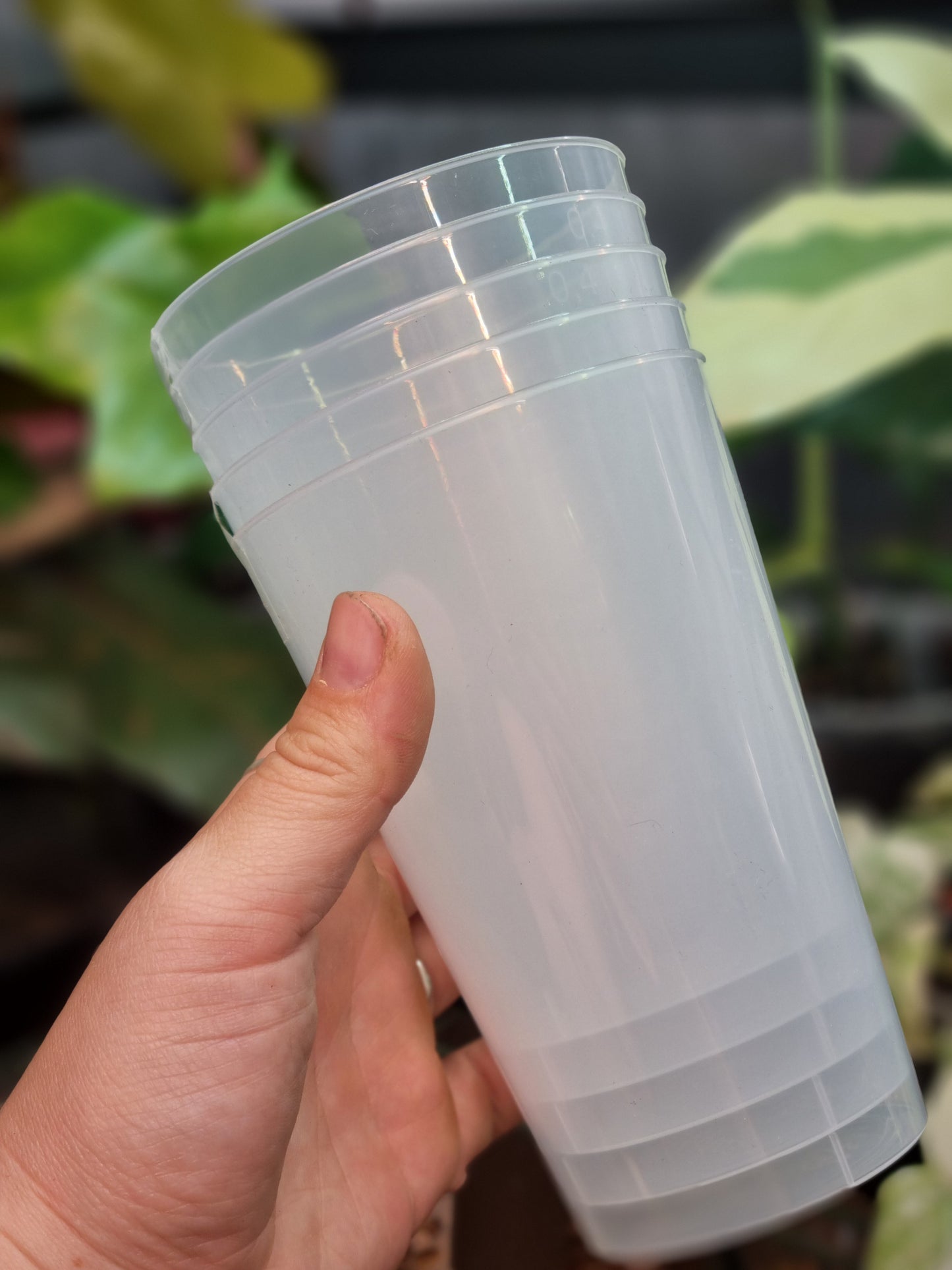 Propagation Cup 400ML x5