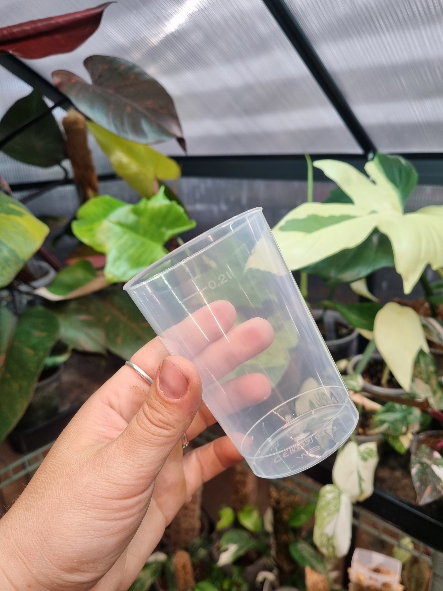 Propagation Cup 200ML x5