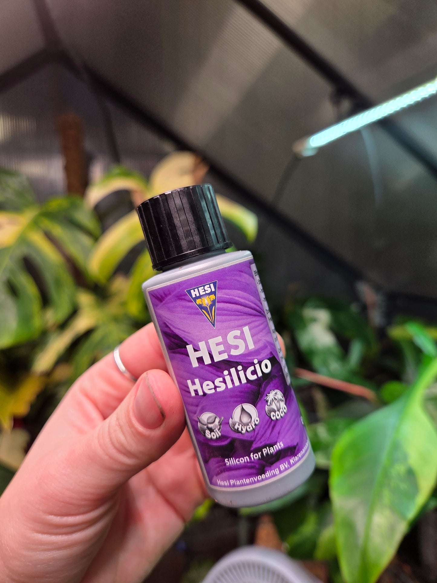 Hesi Hesilicio 50 ML
