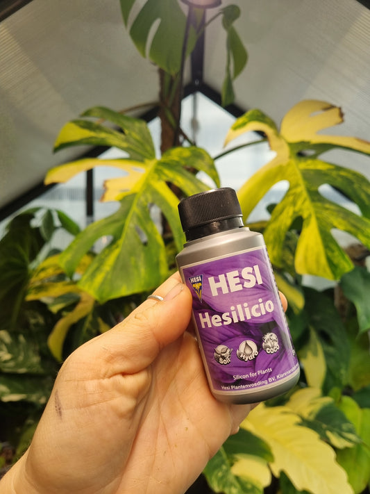 Hesi Hesilicio 100 ML