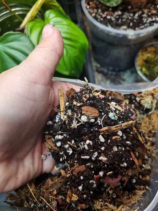 Aroid Propagation Mix Kelsplants