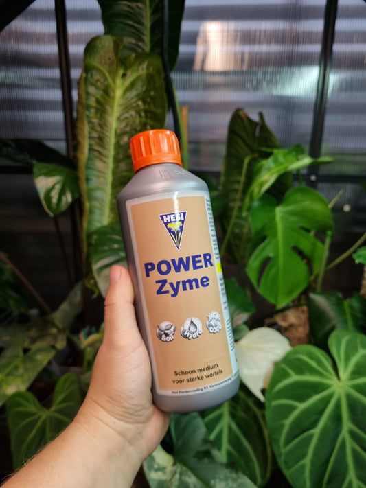 Hesi PowerZyme       500 ML